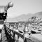 Le Potala vu depuis les toits du Jokhang, Lhasa, Tibet - Photo Jean-François Dobremez, fonds du CEH, 1980