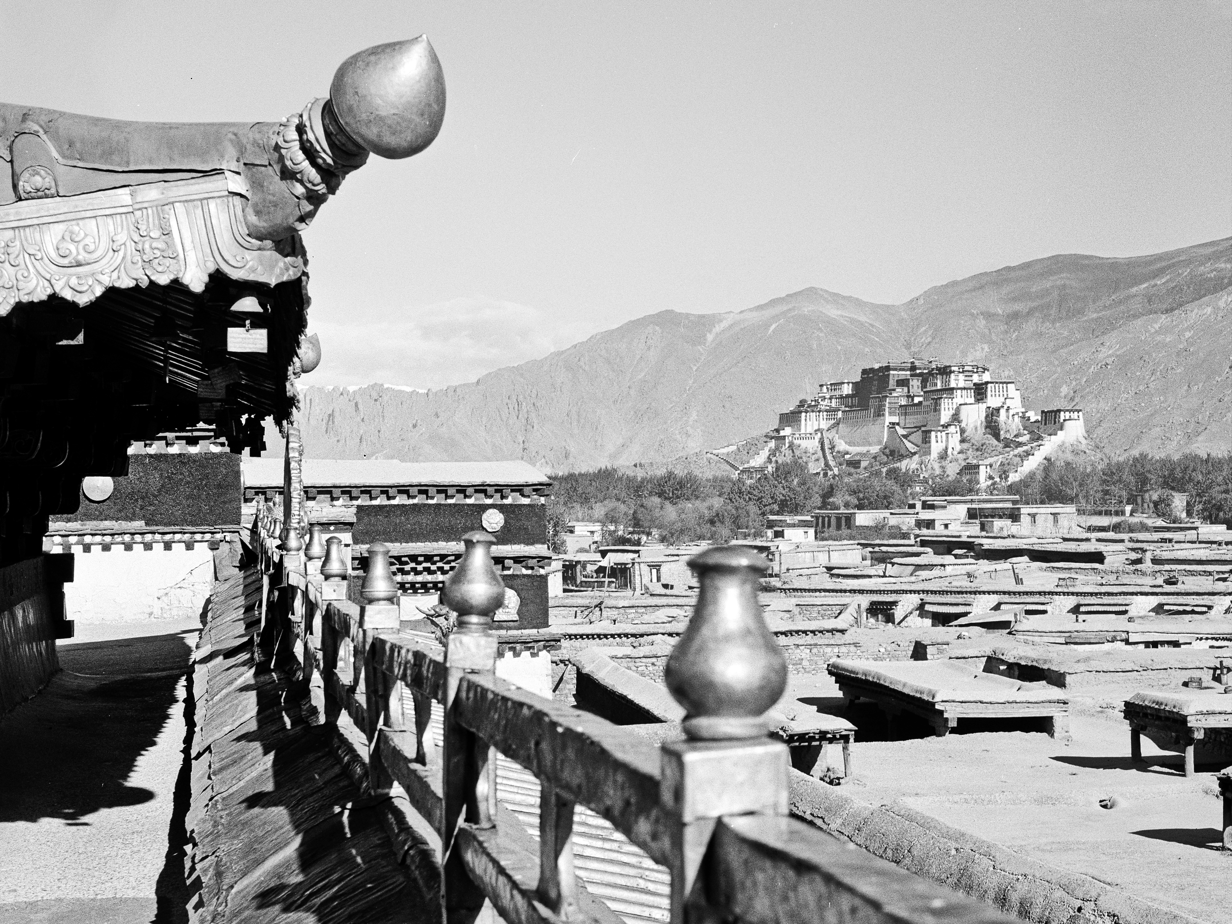 Le Potala vu depuis les toits du Jokhang, Lhasa, Tibet - Photo Jean-François Dobremez, fonds du CEH, 1980