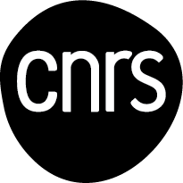 LOGO CNRS 2019_NOIR