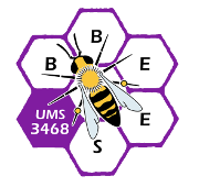 Logo UMS BBEES