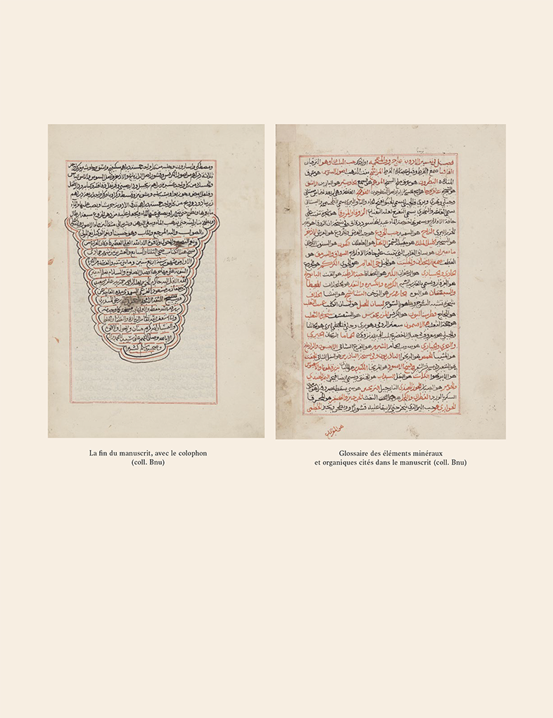Fin du manuscrit - d’al-Ḥamawī, le Kitāb al-bayān fī kashf asrār al- ṭibb li-l-ṭiyān ou Le dévoilement des secrets de la médecine à tous