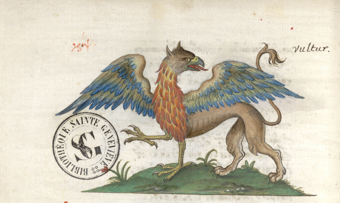 Griffon, in Manuel Philè, Bestiaire (1566). Département de la Réserve, bibliothèque Sainte-Geneviève, Ms. 3401, f.3v.